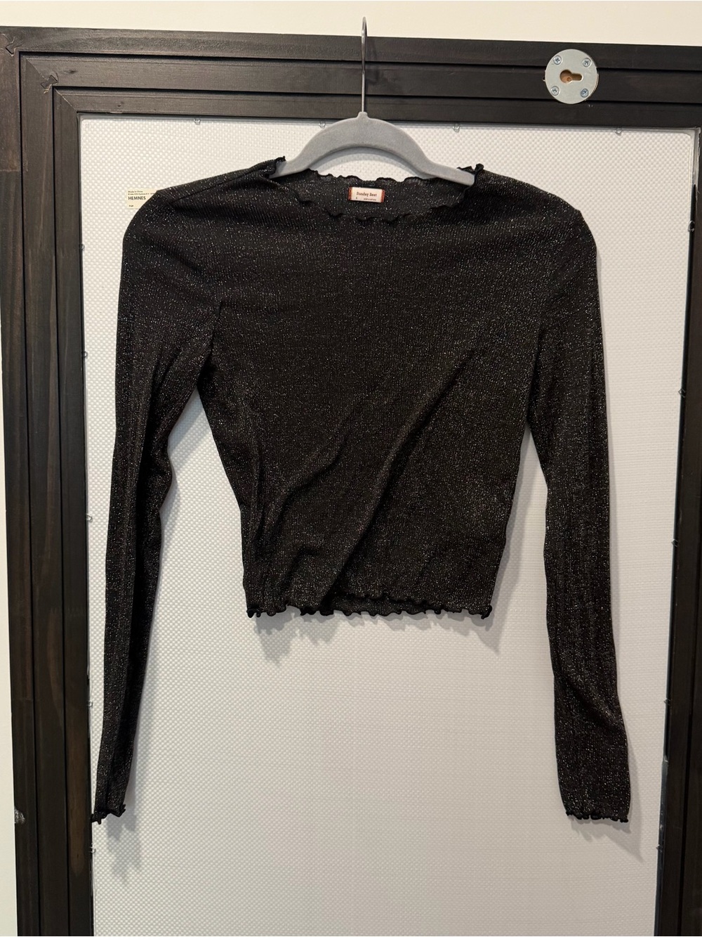 Aritzia Sunday Best Shimmery Semi Sheer Black Long Sleeve Top